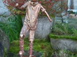 The Footballer