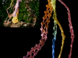Thandanani Detail