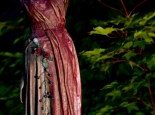 Grecian Torso