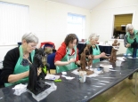 IMG_0077 - Copy