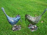 Rockery Birds