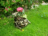 Plant in a Schoolbag!