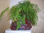 plant-in-pot-bag-2