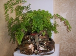plant-in-pot-bag