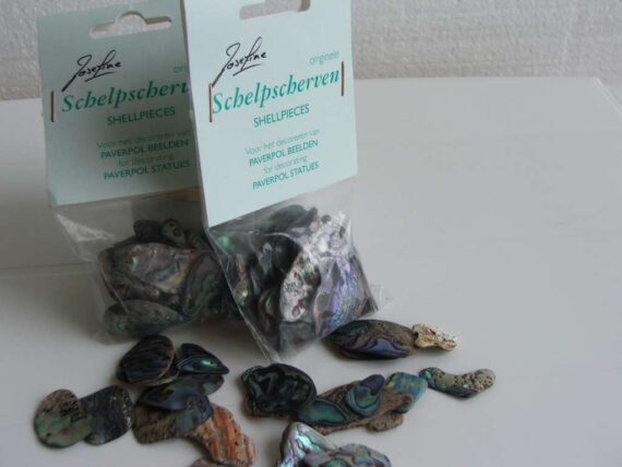 Turquoise Shells